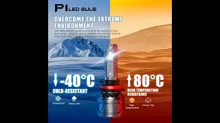 Competitive headlight P1 LED headlight factory OEM car led light bulb