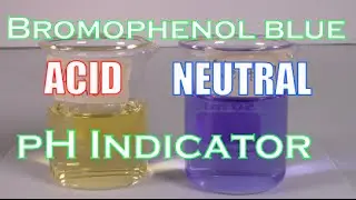 How to Make A Bromophenol Blue Solution (pH Indicator)