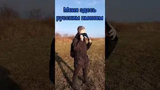 ✨😌ДУШЕВНАЯ ПЕСНЯ НА ПРИРОДЕ #панфлейта #флейта #песня #природа