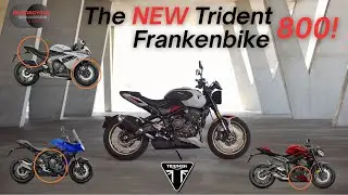 Triumphs New Trident 800 | A breakdown of all the shared and reused parts!