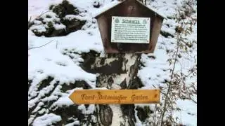 Winterfotos aus Schwarzburg