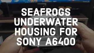 Seafrogs Underwater Housing for Sony a6400 // Darwin Manalo