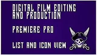 Premiere Pro List and Icon View