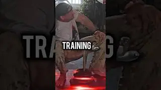 DEVON LARRATT HARDCORE 2024 TRAINING🥇#devonlarratt #armwrestling #training