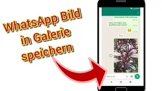 WhatsApp Bilder und Videos in Galerie speichern Anleitung ✅