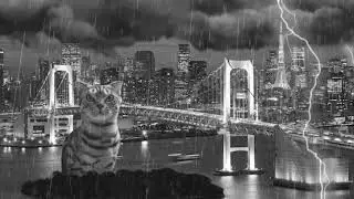 Lapadzilla