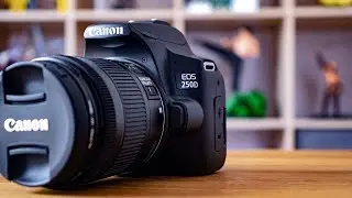 Canon Eos 250d | The Best Entry-Level Camera to Buy!