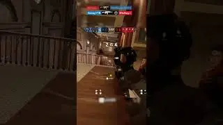 short 6