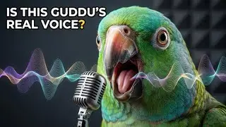 Alexander Parrot || Guddu || Good Mood || Musical Mood|| Playing || Laughing
