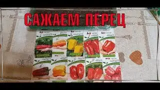 ЛЕГКАЯ ПОСАДКА ПЕРЦА