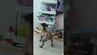 she is angry it self #shortbeta
