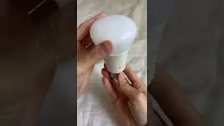 Tested: Philips Hue Smart Led Bulbs - Alexa Google Assistant