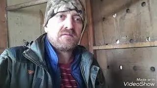 Козья свадьба