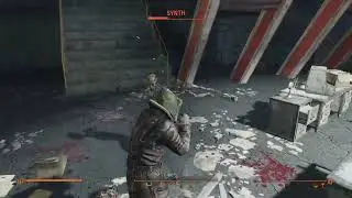 This would do numbers in Diamond City