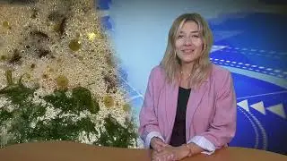 Jaworexpress 26.08.2024 - Wiadomości telewizyjne
