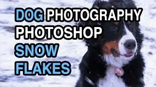How To Winterize a Photo - How to Add Snow With Photoshop