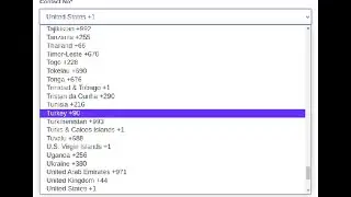 Widget initial (country code US does not initialize as United States) |  phone number | Django forms