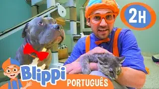 Blippi Visita um Abrigo de Animais! | 2 HORAS DO BLIPPI! | Vídeos Educativos em Português