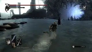 Demon's Souls - King Allant Final Boss Fight (Beast Demon's Soul) Soulbrandt , Red Eye Stone,