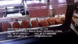 horizontal injection machine and horizontal packing machine with conveyors