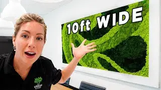 Our Biggest Moss Wall of 2024