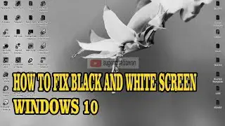 how to fix black and white screen display on windows 10