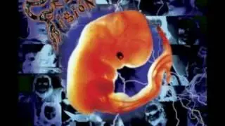 Celibe Fision   Canto para ti (Completo + link)