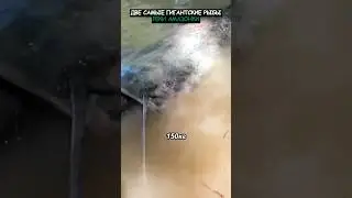 Гигантские рыбы реки Амазонки