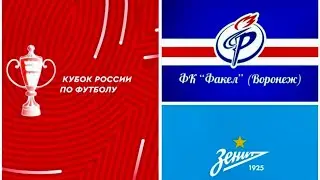 Факел Воронеж-Зенит Санкт Петербург 0-1.  Кубок. Часть 3.