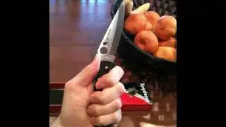 Custom Spyderco Endura 4