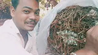 I never stop my farm