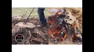 HAND TOOLS + FIRE = STUMP REMOVAL FUN!