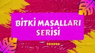 Bitki Masalları Serisi