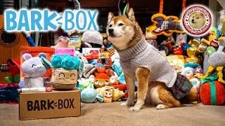 Unboxing the January 2021 BarkBox - Sit, Stay, Spa Day!