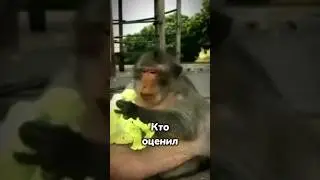 Работа над ошибками. 2 Эдит #shorts #brawlstars #бравлстарс