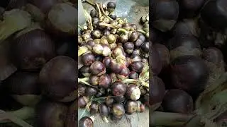 #iceapple