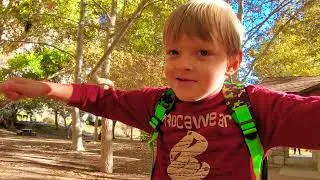Toilet or Toy-Let  __5 year old Max explains (@skippingdragon1364)