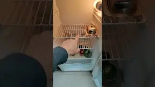 Мама: Сынок как вас кормят !? Мама кто такой кормят???)))