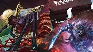 Modern Horizons 3 Collectors Box (I can’t believe i DID this)