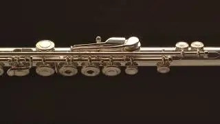 Флейта Armstrong 80 BGN от ателье Доценко и Ко.