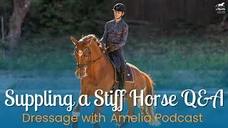 Suppling a Stiff Horse Q&A
