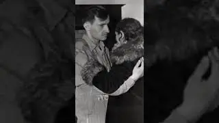 Реальная Зелёная миля.Интересные факты.