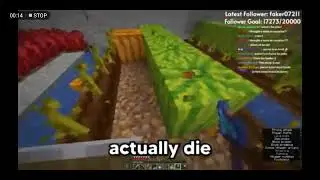 spoke kills parrot lifesteal smp  