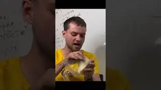 ФРОДО И ИЗУМИТЕЛЬНЫЙ СЕНГВИЧ ИЗ ПОМОЕЧКИ...