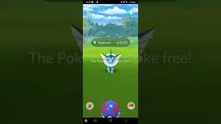 Pokemon Go Team Rocket stuff