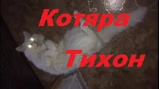 Котяра Тихон