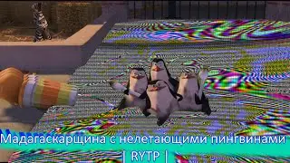 Мадагаскарщина с нелетающими птицами | RYTP |