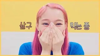 살구가 말실수를ㅋㅋㅋ;;;_ 드림캐쳐 가현