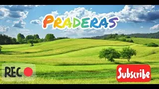 Las increíbles praderas