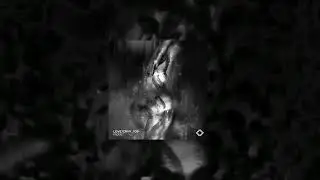 FADENT - love/CRYy_1o9